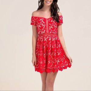 Francesca’s Holiday Dress